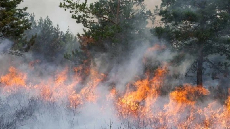 El Ministerio de Seguridad dijo que identificiará y juzgara a los responsables de los incendios