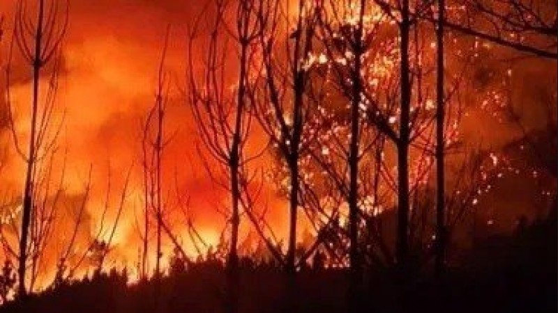 Córdoba acompaña a Chubut en el combate contra los incendios forestales