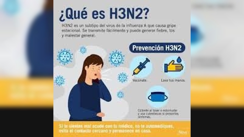 Alerta por Influenza H3N2: síntomas, tratamiento y cómo diferenciarla de un resfrío común