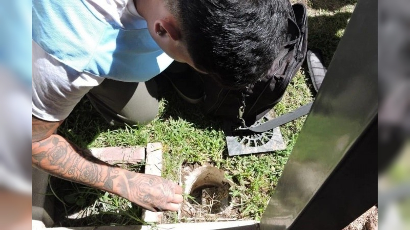 Dengue: advierten por un alto riesgo de transmisión en Córdoba capital