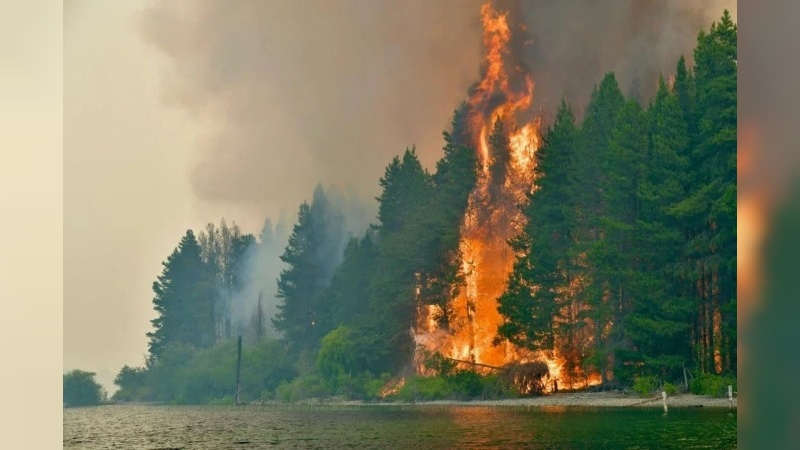 Declaran la emergencia ígnea en cuatro provincias por incendios en la Patagonia