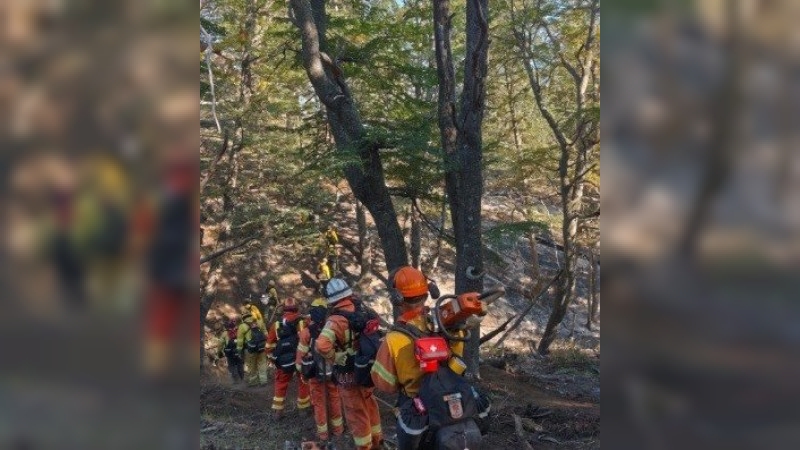 Bomberos de San Francisco combaten incendios forestales en el sur del país
