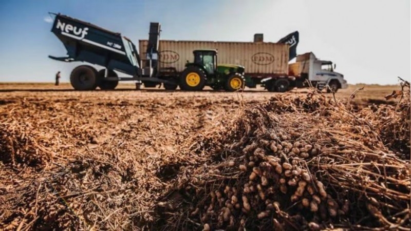 El 75% del planeta consume productos agroindustriales argentinos