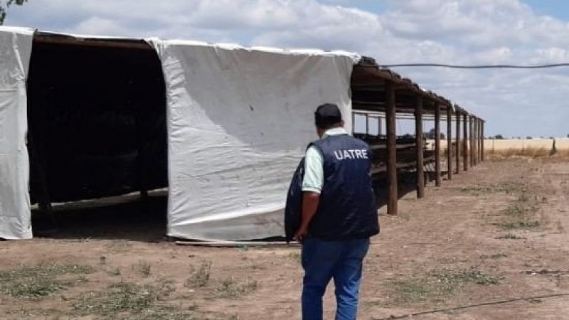 Detectaron infracciones laborales en tambos y un establecimiento avícola de la región