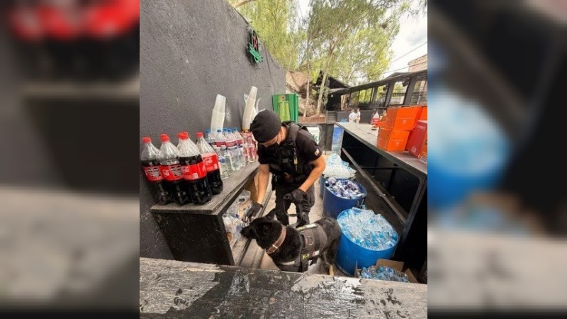 Operativo en La Calera: secuestran diversos tipos de drogas en una fiesta electrónica