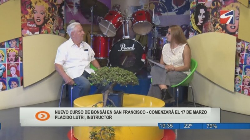 Abren las inscripciones para un nuevo curso de bonsái en San Francisco