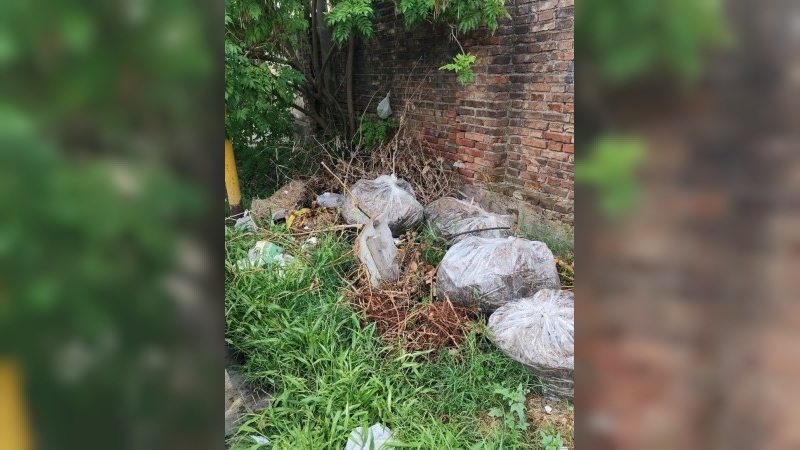 La Municipalidad limpió minibasurales en diferentes puntos de la ciudad