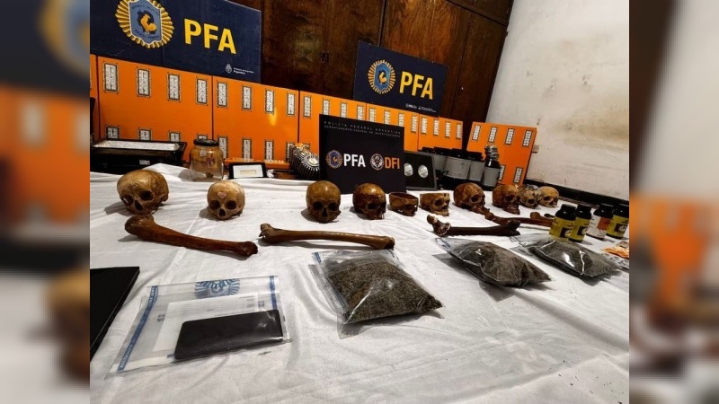 Allanaron un domicilio en busca de drogas y encontraron una colección de cráneos humanos