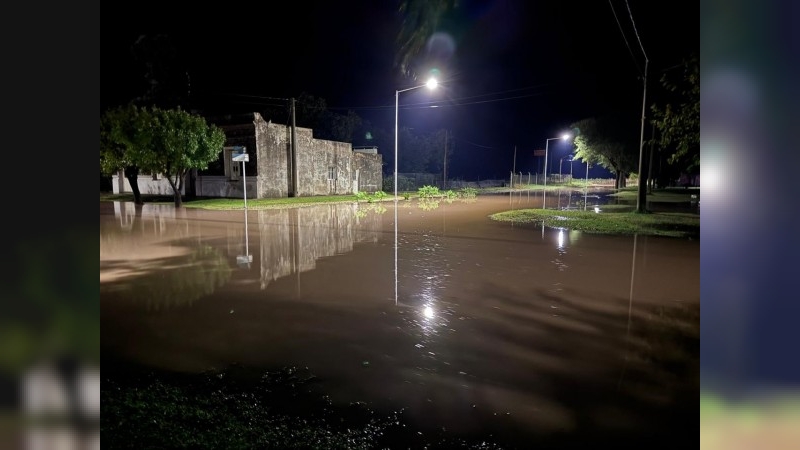 Más de 200 milímetros de lluvia provocaron anegamientos y caída de árboles en Colonia Marina