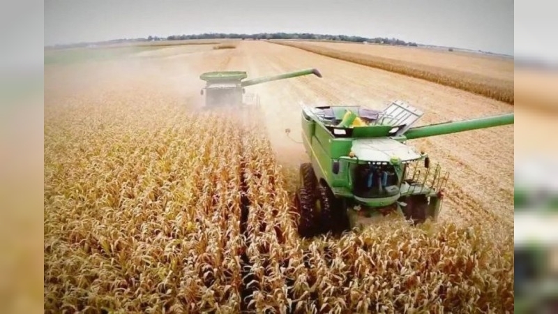 El Estado se queda con el 62,5% de la renta agrícola y la Guerra de Medio Oriente impactó en los costos