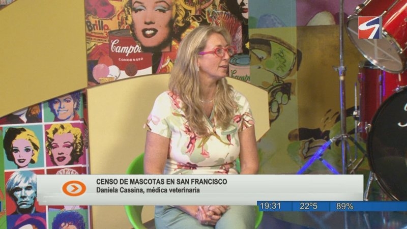 San Francisco impulsa un censo de mascotas para conocer la realidad local