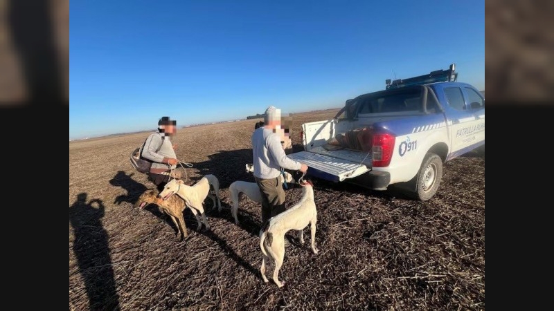 Megaoperativo en Córdoba: 16 detenidos y más de 30 galgos secuestrados en distintas zonas