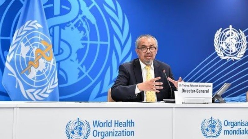 Hantavirus: la OMS afirma que podrían surgir más casos