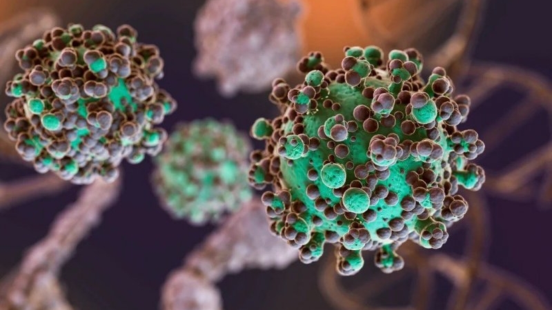 Hantavirus: se identificaron 3 nuevos casos en Argentina