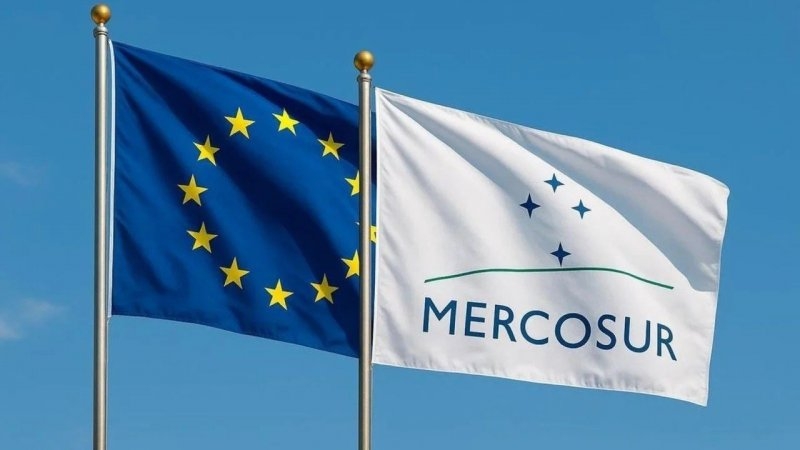 Acuerdo Mercosur-UE: Argentina completó el cupo exportador de huevos y superó las 330 toneladas