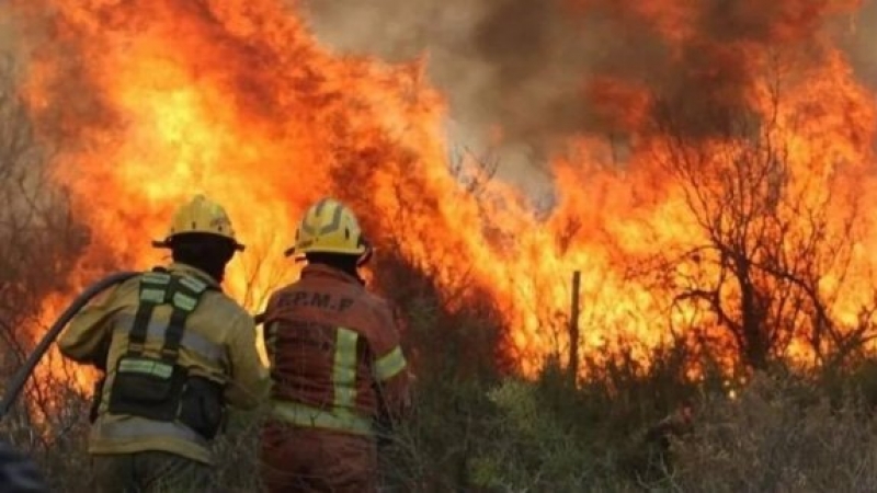 La Provincia presentó herramientas y estrategias para fortalecer la prevención de incendios