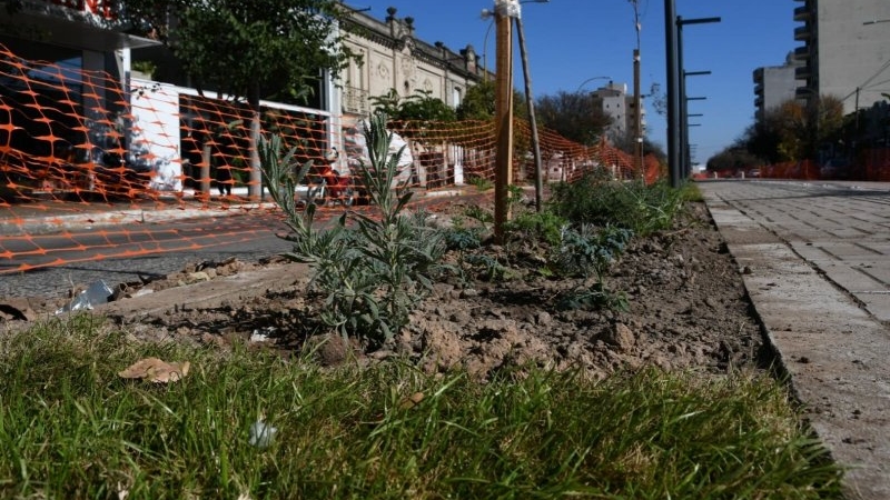 San Francisco se prepara para inaugurar la revalorización del Bv. 9 de Julio, senda peatonal y bicisenda en altura