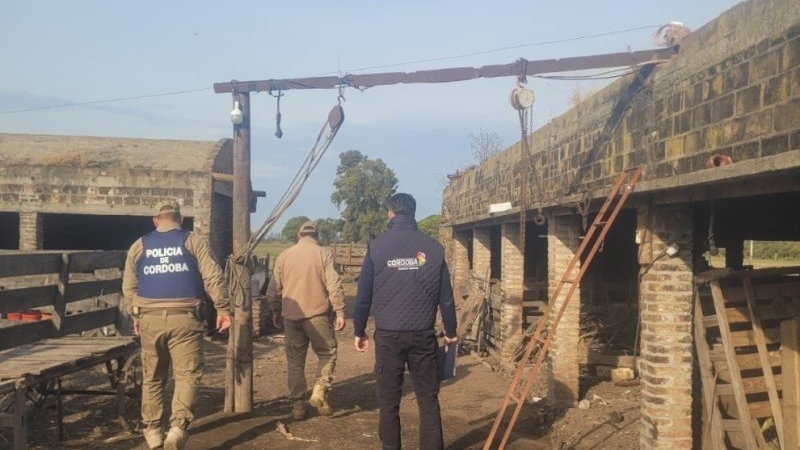Clausuran un matadero clandestino en Miramar y decomisan 100 kilos de carne porcina