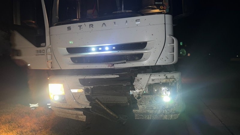 Un camión chocó contra dos caballos sueltos en la Autovía 19