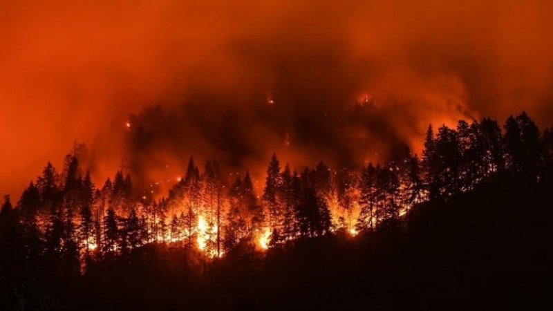 California: un incendio forestal arrasó más de 800 hectáreas